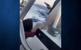 Λιμενικού, Χίο VIDEO,limenikou, chio VIDEO