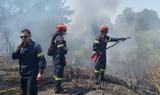 Πυρκαγιά, Αριοχώρι Μεσσηνίας,pyrkagia, ariochori messinias