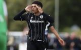 ΠΑΟΚ, Ήττα 1-0, Χιμπέρνιαν VIDEO,paok, itta 1-0, chibernian VIDEO