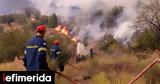 Greece Battles 50 Wildfires,24 Hours