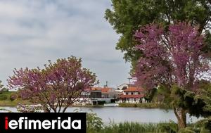 Thessaly Evros Pass, Αναρτήθηκαν, -35 000, Thessaly Evros Pass, anartithikan, -35 000
