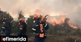 Πολύ, Έβρο, Ροδόπη, Παρασκευή, -Αρκετές, 3 [χάρτης],poly, evro, rodopi, paraskevi, -arketes, 3 [chartis]