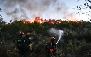 Πού, Πύρινο, Σουφλί Διδυμότειχο Κορινθία Λέσβο Λάρισα, pou, pyrino, soufli didymoteicho korinthia lesvo larisa