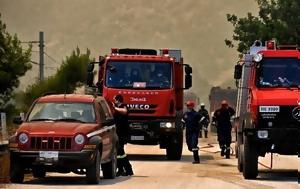 Φωτιά, Λαγκαδά Θεσσαλονίκης - Καίει, fotia, lagkada thessalonikis - kaiei