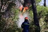 Σε 35 ανήλθαν οι πυρκαγιές σε όλη τη χώρα το τελευταίο εικοσιτετράωρο,