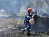 Σύλληψη 73χρονου, Λαστέικα Πύργου – Εξετάζεται,syllipsi 73chronou, lasteika pyrgou – exetazetai