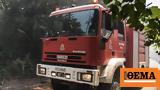 Πύργος, Σύλληψη 73χρονου, Λαστέικα,pyrgos, syllipsi 73chronou, lasteika