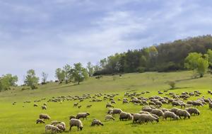 Γρεβενά, Καλαμπάκα, grevena, kalabaka