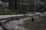ΟΣΕ, Σταμάτησαν, Ακράτας, Αιγίου -,ose, stamatisan, akratas, aigiou -