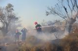Πυρκαγιά, Αβγό Ιωαννίνων,pyrkagia, avgo ioanninon