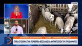 Συναγερμός, Θεσσαλία,synagermos, thessalia