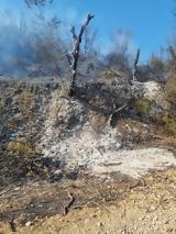 Οριοθετείται, Καστράκι, Γορτυνίας,oriotheteitai, kastraki, gortynias