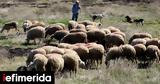 Plague Outbreak,Thessaly Raises Alarm But No Human Risk