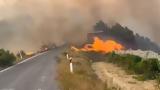 Φωτιά, Στιμάγκα Κορινθίας, 72χρονος,fotia, stimagka korinthias, 72chronos