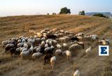 Εντείνεται, Θεσσαλία, Κλείνουν, Παρασκευή,enteinetai, thessalia, kleinoun, paraskevi