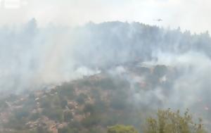 Φωτιά, Συκάμινο Ωρωπού - Μήνυμα, 112 - Επιχειρούν 7, fotia, sykamino oropou - minyma, 112 - epicheiroun 7