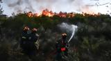 Σέρρες, Οριοθετήθηκε, Κρηνίδα – Απειλήθηκαν,serres, oriothetithike, krinida – apeilithikan