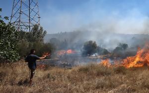 Φωτιά, Παλαιόκαστρο Ελασσόνας, fotia, palaiokastro elassonas