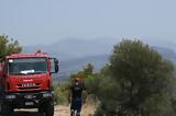 Υπό, Αλέα Αργολίδας,ypo, alea argolidas