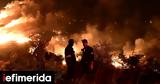 ΕΛΕΤΑΕΝ, Καμία, Εύβοια,eletaen, kamia, evvoia