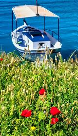 Λέσβος, Αναστάτωση,lesvos, anastatosi