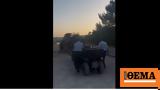 Ζάκυνθος, Συνεχίζονται, ΕΛ ΑΣ,zakynthos, synechizontai, el as