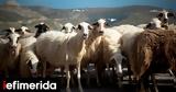 14000,Tsiaras