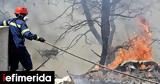Κιλκίς, Συνεχίζει, Πευκόδασος,kilkis, synechizei, pefkodasos