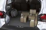 Dacia Spring Cargo,