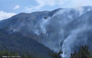 Σέρρες, Οικολογική, Όρβηλος, 15η, serres, oikologiki, orvilos, 15i