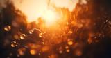 July 2024 Records Highest Temperatures, Northern,Western Greece Since 2010