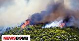 Φωτιά, Μαρκόπουλο - Μεγάλη, Πυροσβεστικής,fotia, markopoulo - megali, pyrosvestikis