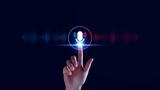 Meta,AI Voice Projects