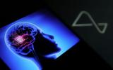 Neuralink, Έκανε,Neuralink, ekane