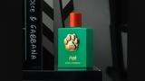 Dolce, Gabbana,Fefé
