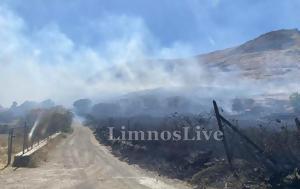 Φωτιά, Λήμνο - Μάχη, ΦΩΤΟ + VIDEO, fotia, limno - machi, foto + VIDEO