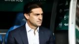 Παναθηναϊκός Αλόνσο,panathinaikos alonso