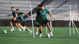 Παναθηναϊκός, Μέρος, Βαγιαννίδης,panathinaikos, meros, vagiannidis