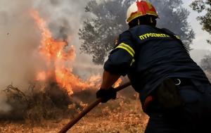 Ύψιστος, Δεκαπενταύγουστο –, ypsistos, dekapentavgousto –