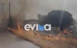 Φωτιά, Εύβοια - Εκκενώνονται,fotia, evvoia - ekkenonontai