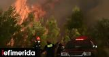 Firefighters Battle Massive Wildfire,Northeastern Attica