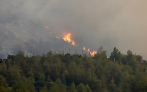 Φωτιά, Βορειοανατολική Αττική, Γραμματικό Πεντέλη, Ανατολή Νέας Μάκρης, fotia, voreioanatoliki attiki, grammatiko penteli, anatoli neas makris