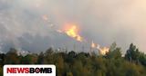 Φωτιά, Αττική - Δήμαρχος Διονύσου, Μικρές,fotia, attiki - dimarchos dionysou, mikres