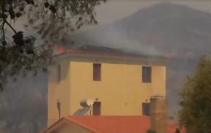 Καίγονται, Νταού Πεντέλης –, kaigontai, ntaou pentelis –
