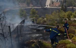 Φωτιά, Αττική, Συγκλονιστικά, fotia, attiki, sygklonistika