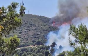 Φωτιά, Αττική, Λαυρίου, Ραφήνας, fotia, attiki, lavriou, rafinas