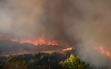 Φωτιά, Αττική, Ολονύχτια, Πεντέλη – Συνεχείς,fotia, attiki, olonychtia, penteli – synecheis