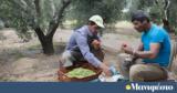 Ζητούνται,zitountai
