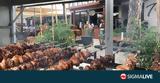 Η σούβλα έχει (πάλι) την τιμητική της! Οι διαθέσιμοι εκδρομικοί χώροι,