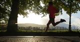 Ioannina Lake Run,